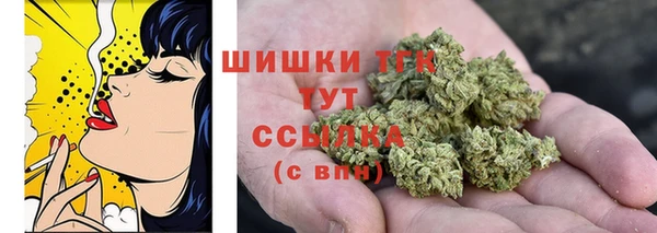 индика Заволжск