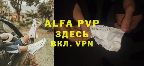 индика Заволжск