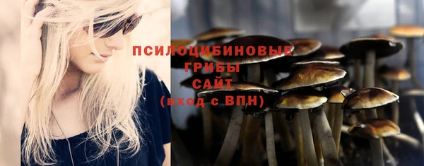 СК Елабуга