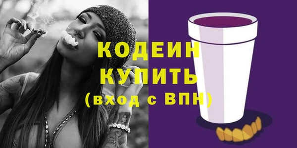 индика Заволжск