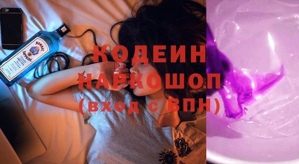 индика Заволжск