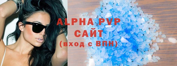 индика Заволжск