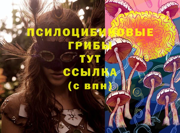 кокс Заводоуковск