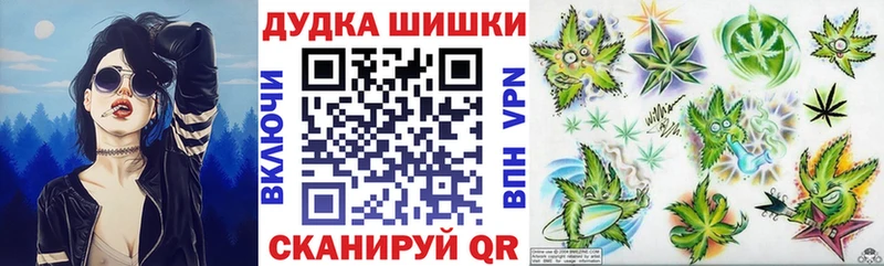 Марихуана план Карачаевск